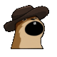 POPNUT logo