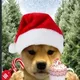 wifmas logo