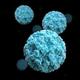 Norovirus logo