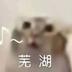 Binance Cat logo