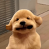 I am a Puppy logo