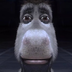 Staring Donkey logo