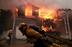 Help Pacific Palisades Fire logo