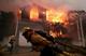 Help Pacific Palisades Fire logo