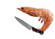 🗡️🦐 logo