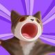 WOWCAT logo