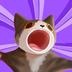 WOWCAT logo