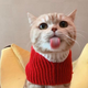 MeowMelt logo