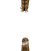 Long cat logo