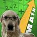 GoldenRetrieverPiencheDidTheMath logo