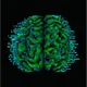 MY MIND logo