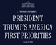Make America Safe Again logo