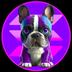 FRENCHIES logo