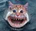 Chinese CatFish⠀⠀⠀⠀⠀⠀⠀⠀⠀⠀⠀⠀⠀⠀⠀⠀⠀⠀⠀⠀⠀⠀⠀⠀⠀⠀⠀⠀⠀⠀⠀⠀⠀⠀⠀⠀⠀D2yKaThegCr4KwHu2UFPtfGZ6dBycN1oFQsAG1mSEDXY logo