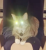 Elon Musk Cat logo