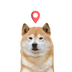 35.6591° N, 139.7007° E⠀⠀⠀⠀⠀⠀⠀⠀⠀⠀⠀⠀⠀⠀⠀⠀⠀⠀⠀⠀⠀⠀⠀⠀⠀⠀⠀⠀⠀⠀⠀⠀⠀⠀⠀⠀⠀E8bx6TnqrusNU9kD28WCqKHmiNfvAnfycoZH8onVpeQG logo
