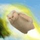 Rocket Cat logo