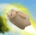 Rocket Cat logo