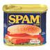 spam logo