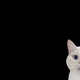 Wuhbqnlo logo