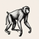 ChimpChange  logo