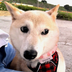 Atsuko Sato brother of Neiro⠀⠀⠀⠀⠀⠀⠀⠀⠀⠀⠀⠀⠀⠀⠀⠀⠀⠀⠀⠀⠀⠀⠀⠀⠀⠀⠀⠀⠀⠀⠀⠀⠀⠀⠀⠀⠀DKhh3YWoHyA3KjM7yKHZi5KjfXxdWfBhkW9GF9abFu9f logo