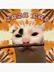 Zaza the cat⠀⠀⠀⠀⠀⠀⠀⠀⠀⠀⠀⠀⠀⠀⠀⠀⠀⠀⠀⠀⠀⠀⠀⠀⠀⠀⠀⠀⠀⠀⠀⠀⠀⠀⠀⠀⠀Cqa49UrthaexboBXn9vJUnwtL5Vnw3zSBqhfEGx1pump logo