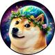 Erf Doge logo