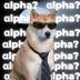 αlpha dog⠀⠀⠀⠀⠀⠀⠀⠀⠀⠀⠀⠀⠀⠀⠀⠀⠀⠀⠀⠀⠀⠀⠀⠀⠀⠀⠀⠀⠀⠀⠀⠀⠀⠀⠀⠀⠀4hp1ZGnzf3haHPXMU88p922iXF81Xjs3vV4Tqif9pump logo