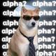αlpha dog⠀⠀⠀⠀⠀⠀⠀⠀⠀⠀⠀⠀⠀⠀⠀⠀⠀⠀⠀⠀⠀⠀⠀⠀⠀⠀⠀⠀⠀⠀⠀⠀⠀⠀⠀⠀⠀4hp1ZGnzf3haHPXMU88p922iXF81Xjs3vV4Tqif9pump logo