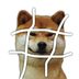 #dog ⠀⠀⠀⠀⠀⠀⠀⠀⠀⠀⠀⠀⠀⠀⠀⠀⠀⠀⠀⠀⠀⠀⠀⠀⠀⠀⠀⠀⠀⠀⠀⠀⠀⠀⠀⠀⠀s7rqXPaJQytbAWmcK1bfBEW2CV3Azffo3RLqwvGuKpump logo