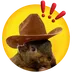 Bonk Pnut logo