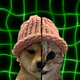 Datwif logo
