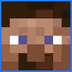 STEVE logo