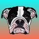Mo Dog APT logo