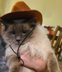 Shadow The Cat logo