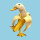 Banana Duck logo