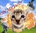 On My Way logo