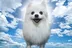 Gabe the dog logo