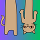 Cat Is Hanging logo