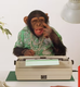 monkey theorem logo