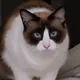  Bitcoin creator cat ⠀⠀⠀⠀⠀⠀⠀⠀⠀⠀⠀⠀⠀⠀⠀⠀⠀⠀⠀⠀⠀⠀⠀⠀⠀⠀⠀⠀⠀⠀⠀⠀⠀⠀⠀⠀⠀xWtgPZ8B6qYtUd5FsahvDtf69AgtK9kyKQjJ3fqPDnD logo