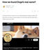 The real name of Doge⠀⠀⠀⠀⠀⠀⠀⠀⠀⠀⠀⠀⠀⠀⠀⠀⠀⠀⠀⠀⠀⠀⠀⠀⠀⠀⠀⠀⠀⠀⠀⠀⠀⠀⠀⠀⠀FJvmeqEf8HkQVatYiMV57wN4q8tML1Hg5M7ze87Fpump logo