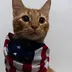 Cat Wif Flag logo