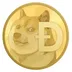 First Dogecoin Ticker logo