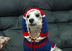 Dog Wif Hoodie logo
