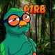 PIRB logo