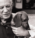 Official Picasso Dog logo
