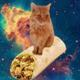 Floating Space Burrito Cat logo