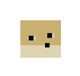 5x5 Doge  logo
